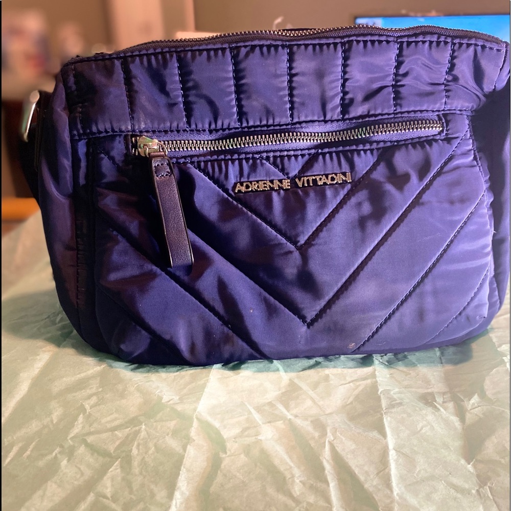 Adrienne Vitttadini purse